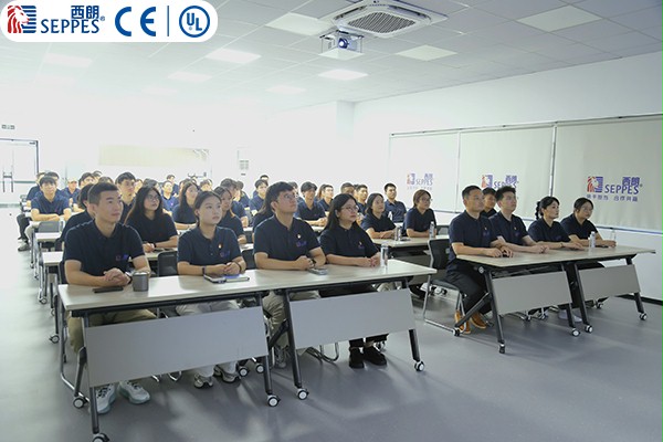 西朗门业董事长杨元嘉带领全体员工观看阅兵仪式 西朗门业董事长杨元嘉带领全体员工观看阅兵仪式